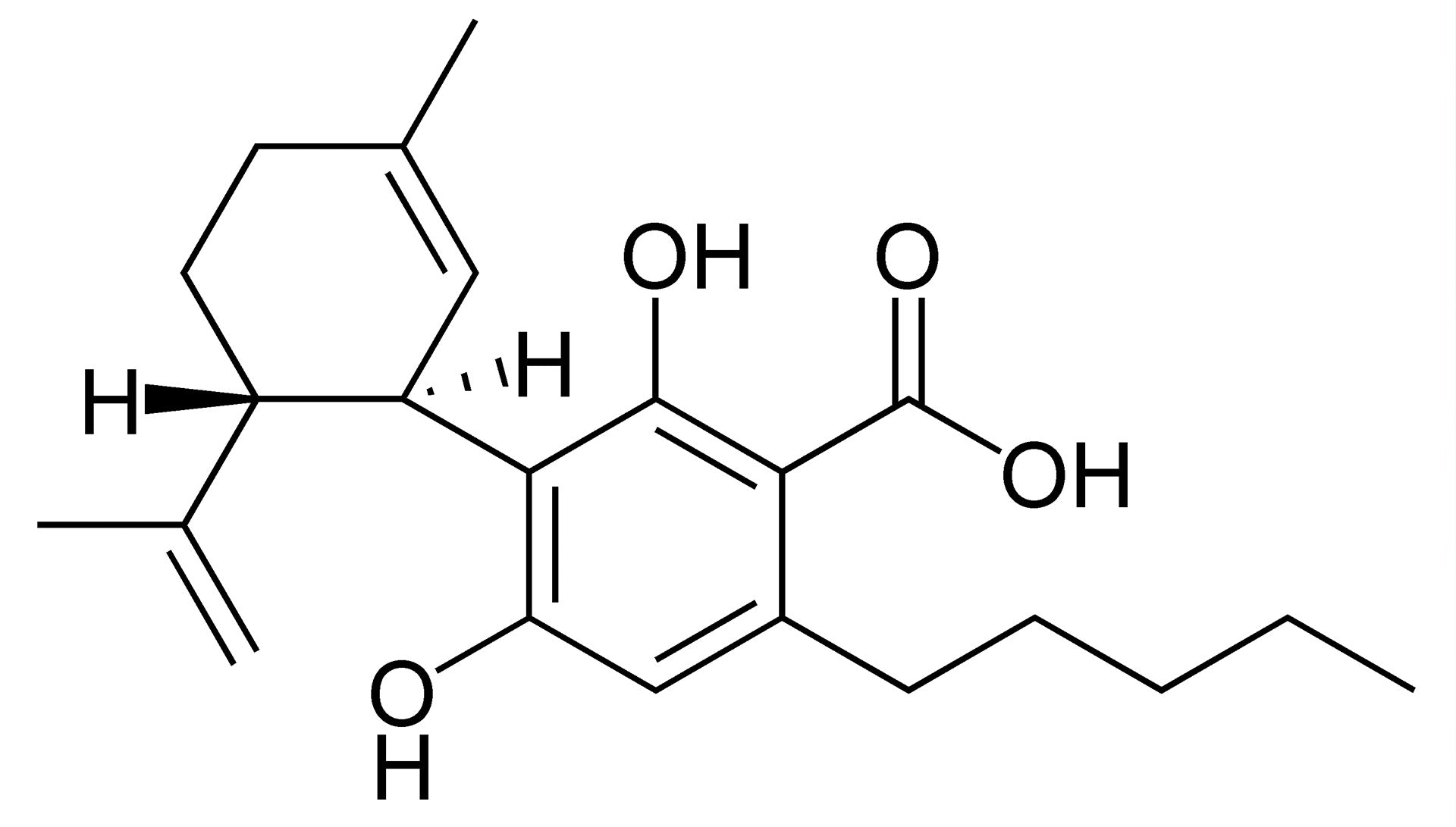 What-is-CBDA-CBGA Kurativ Premium CBD