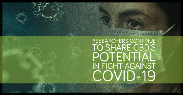 Researchers-Continue-to-Share-CBD-s-Potential-in-Fight-against-COVID-19. Kurativ Premium CBD