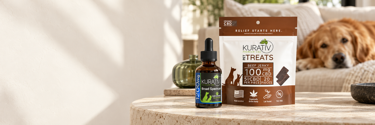 Kurativ broad-spectrum pet CBD oil and CBD pet treats beside a golden retriever in a sunlit living room